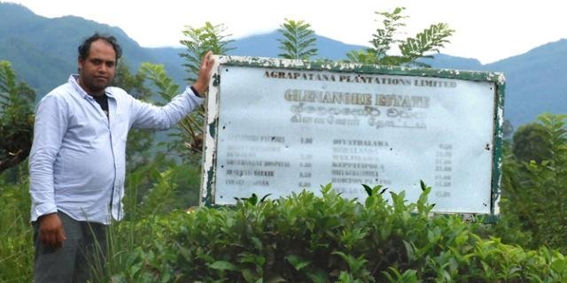 Ceylon Drop photograph b