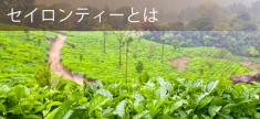 Ceylon Drop